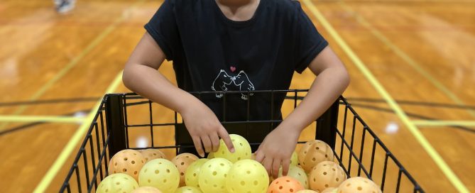 Tips for Beginners: Hawaii Pickleball Lessons, Fees & Coaching