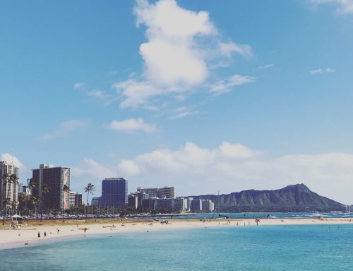 Where to Play Pickleball in Waikiki – Top Courts & Open Plays Near Honolulu