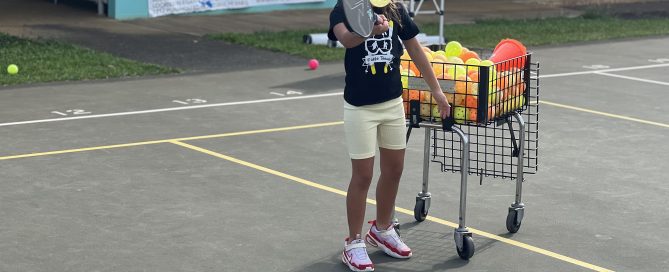 Lessons Learned from Techeaching pickleball in hawaii